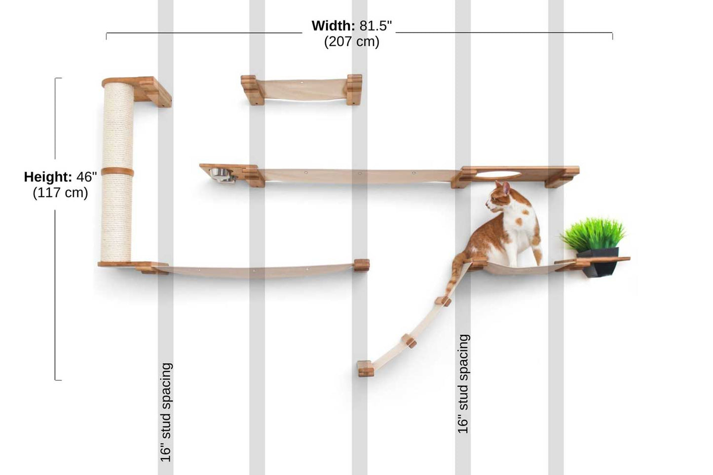 Multi-Level Cat Activity Center - Wide Layout Climbing System