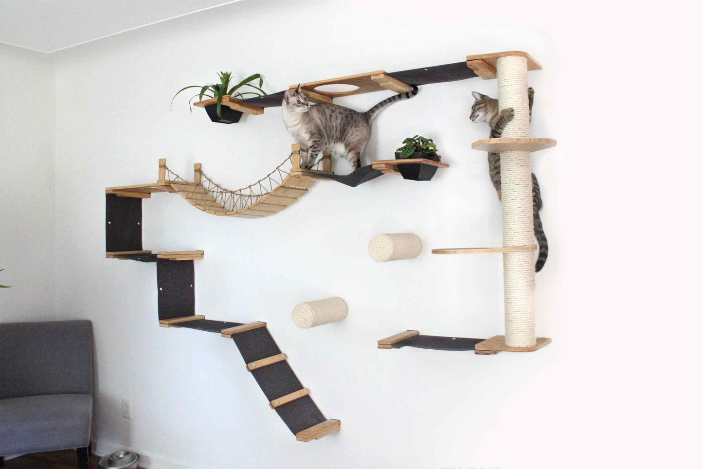 Ultimate Cat Playground - Complete Wall-Mounted Adventure System