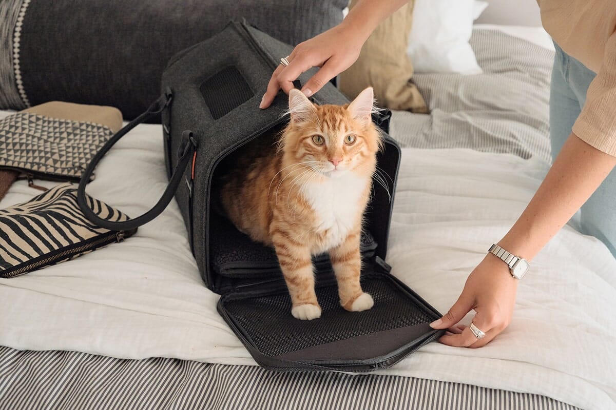 TSA Approved Cat Travel Carrier - Expandable Soft-Sided Design for Plane & Car Travel