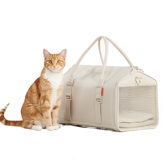Orange tabby cat next to a beige pet carrier.