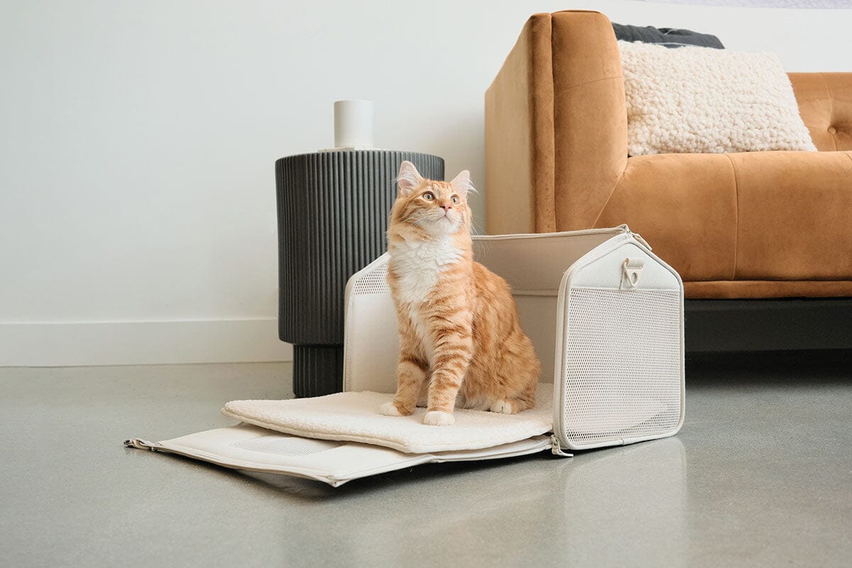TSA Approved Cat Travel Carrier - Expandable Soft-Sided Design for Plane & Car Travel