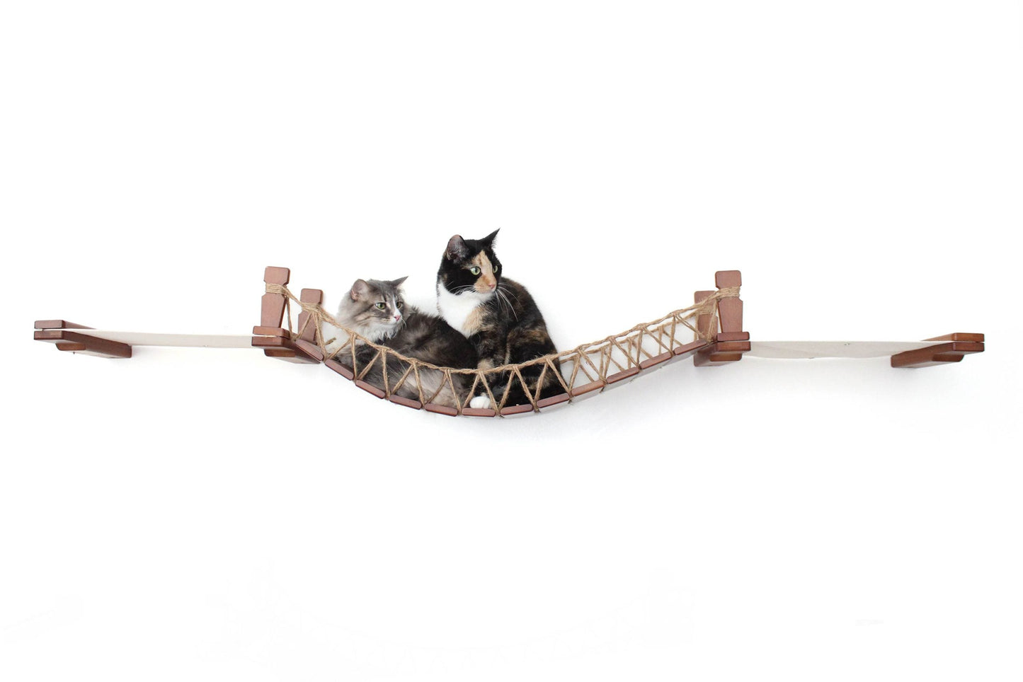 Double Cat Hammock Bridge - Suspension System with Climbing Platform