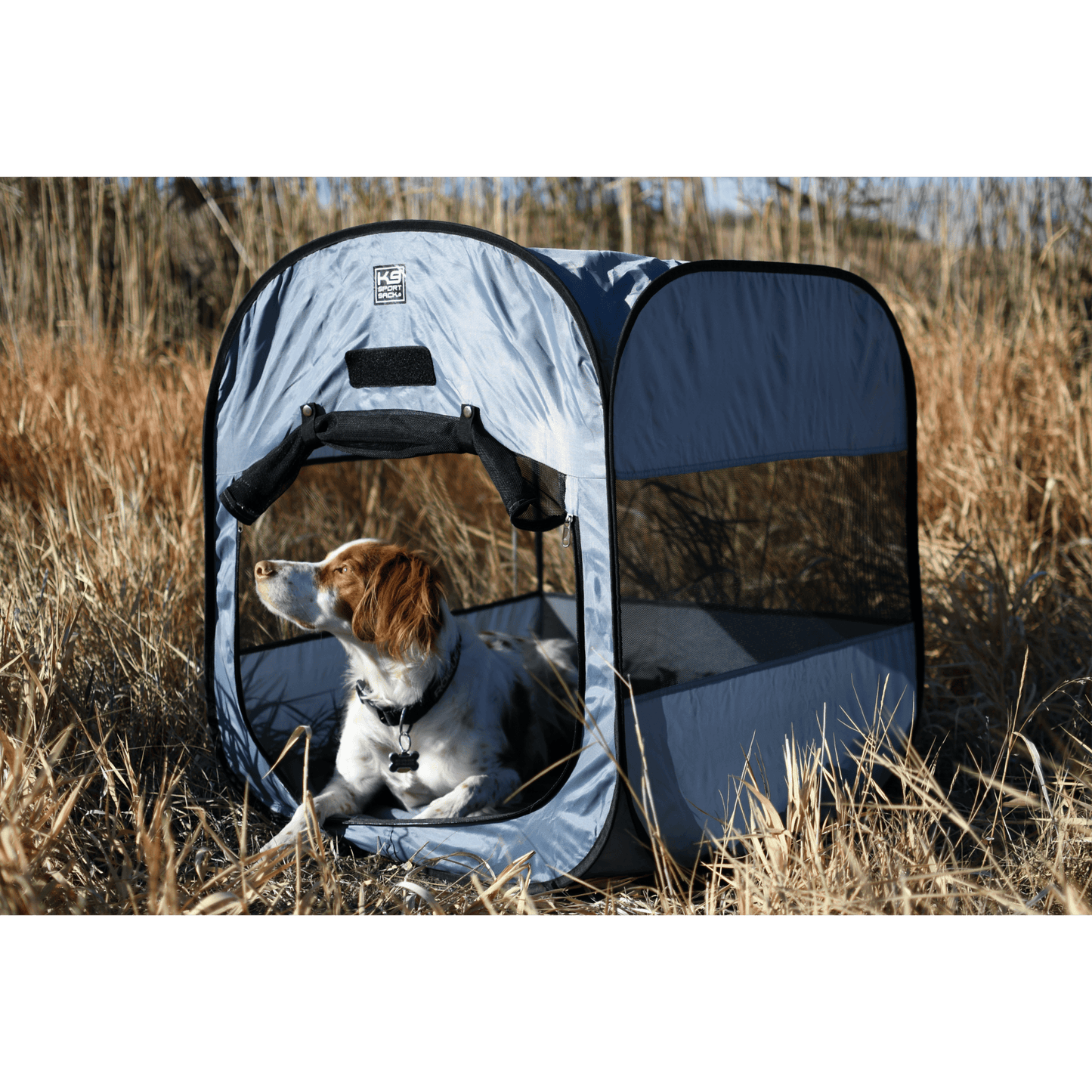 Pop-Up Dog Tent β Portable Outdoor Pet Shelter