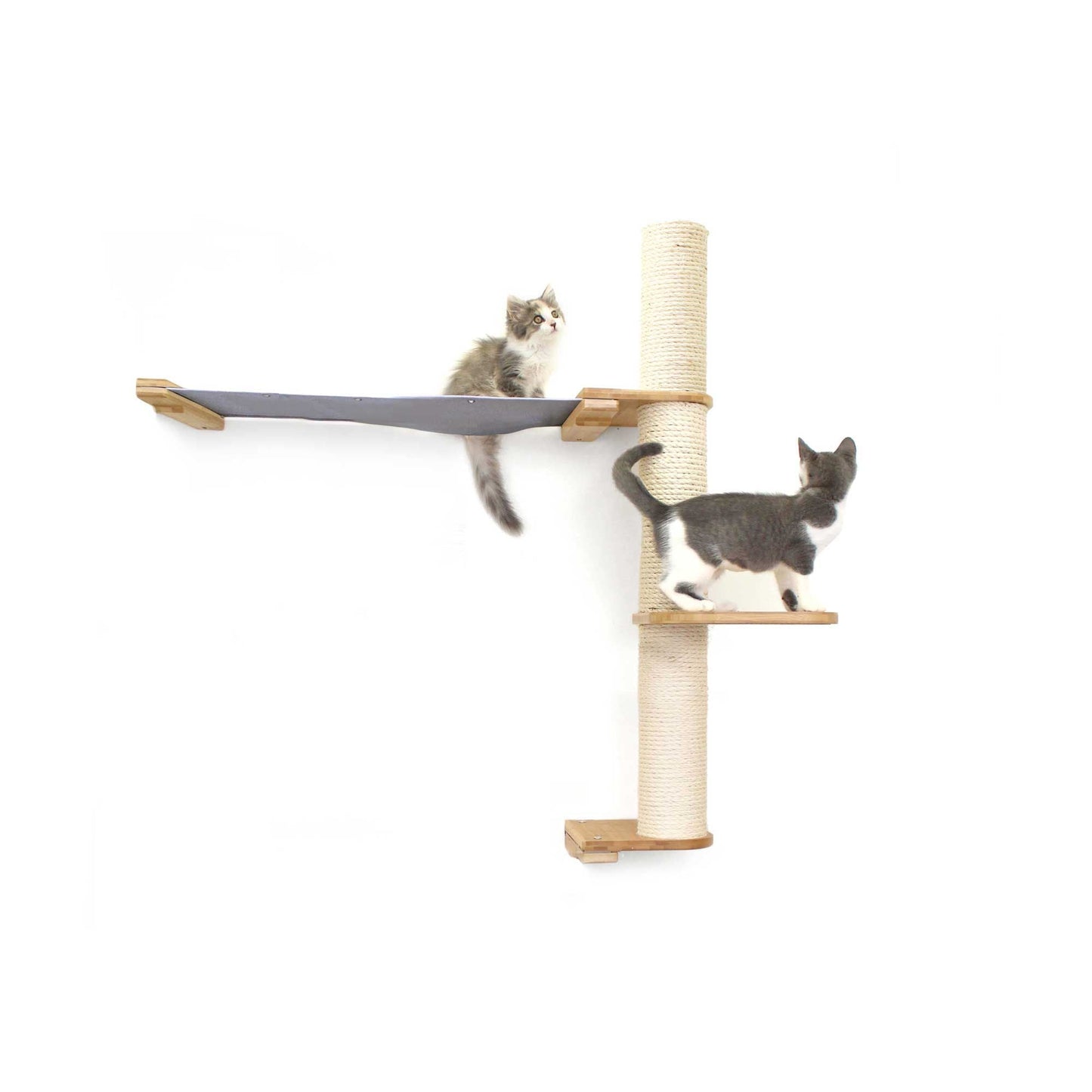 Vertical tall cat perch with natural bamboo poles, natural canvas summit hammock, mounted on wall with two cats climbing,.