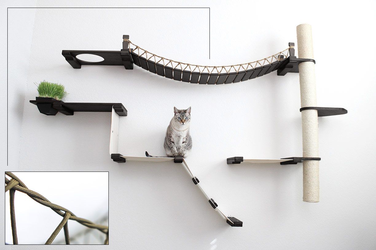 Cat Jungle Gym - Compact Activity System for Active Cats