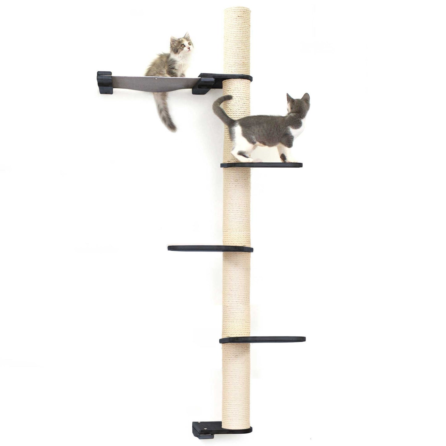 Tall cat perch with vertical scratching pole and summit hammock in natural bamboo, part of cat tree wall set.