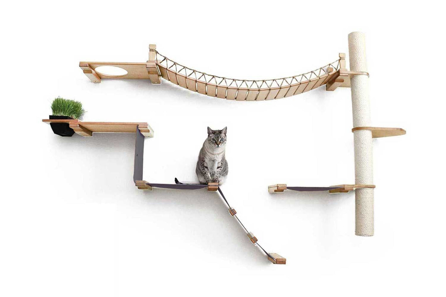 Cat Jungle Gym - Compact Activity System for Active Cats
