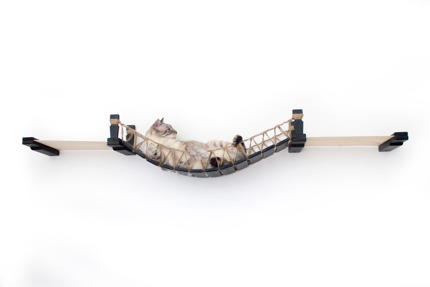 Double Cat Hammock Bridge - Suspension System with Climbing Platform