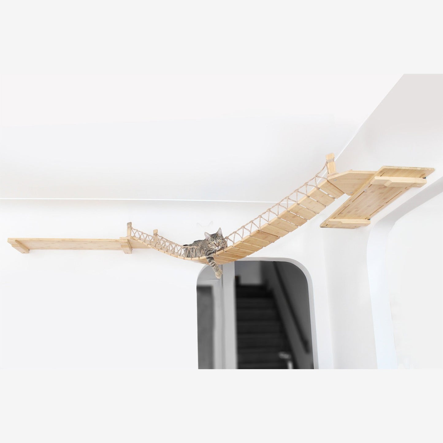 A cat lounging on a wall-mounted wooden bridge inside a house.