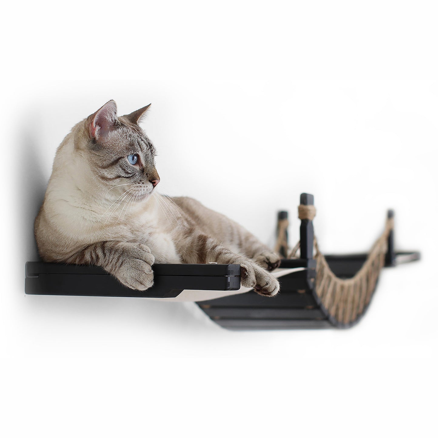 A cat resting on a wall-mounted perch.