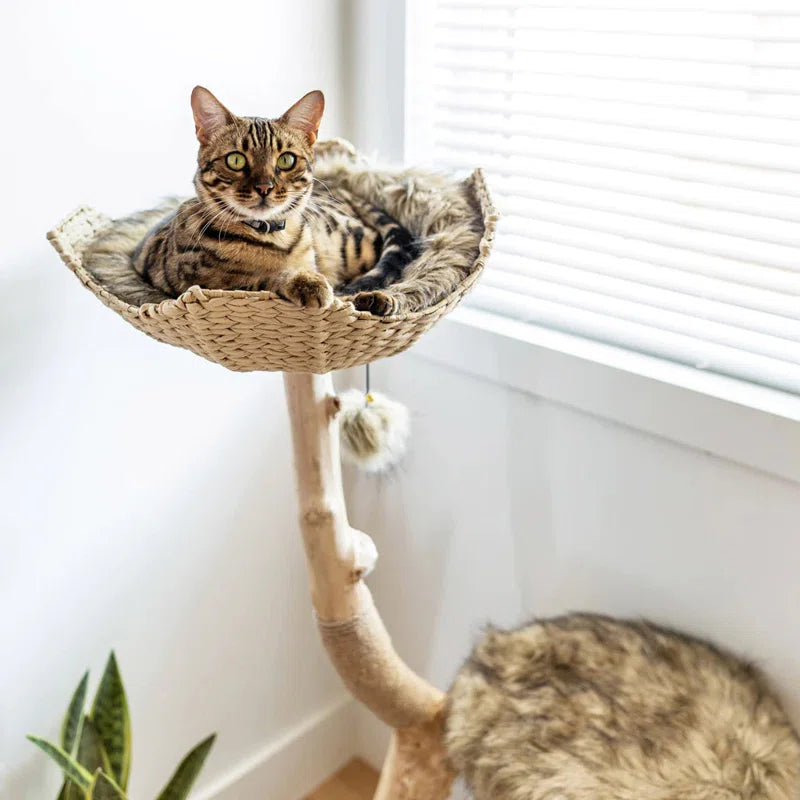 Lina 46'' H Cat Tree