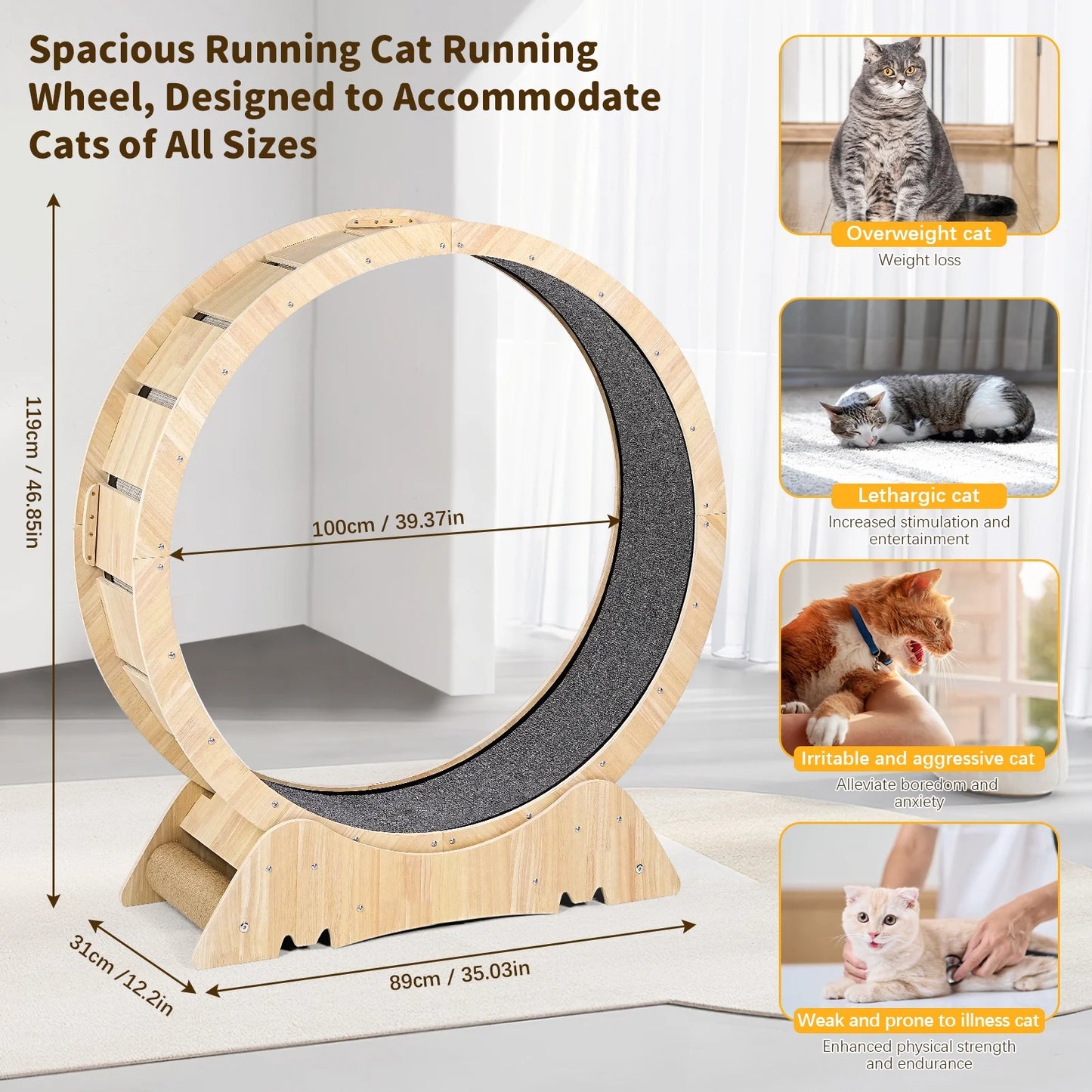 Wooden cat treadmill wheel with carpeted running surface, fits cats of all sizes, stylish dog crate furniture style.