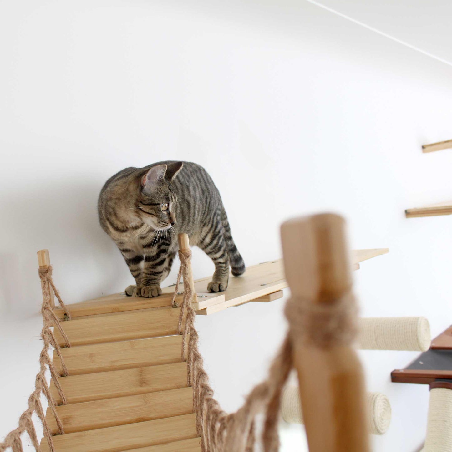 Corner Cat Bridge - Wall-to-Wall Connection System
