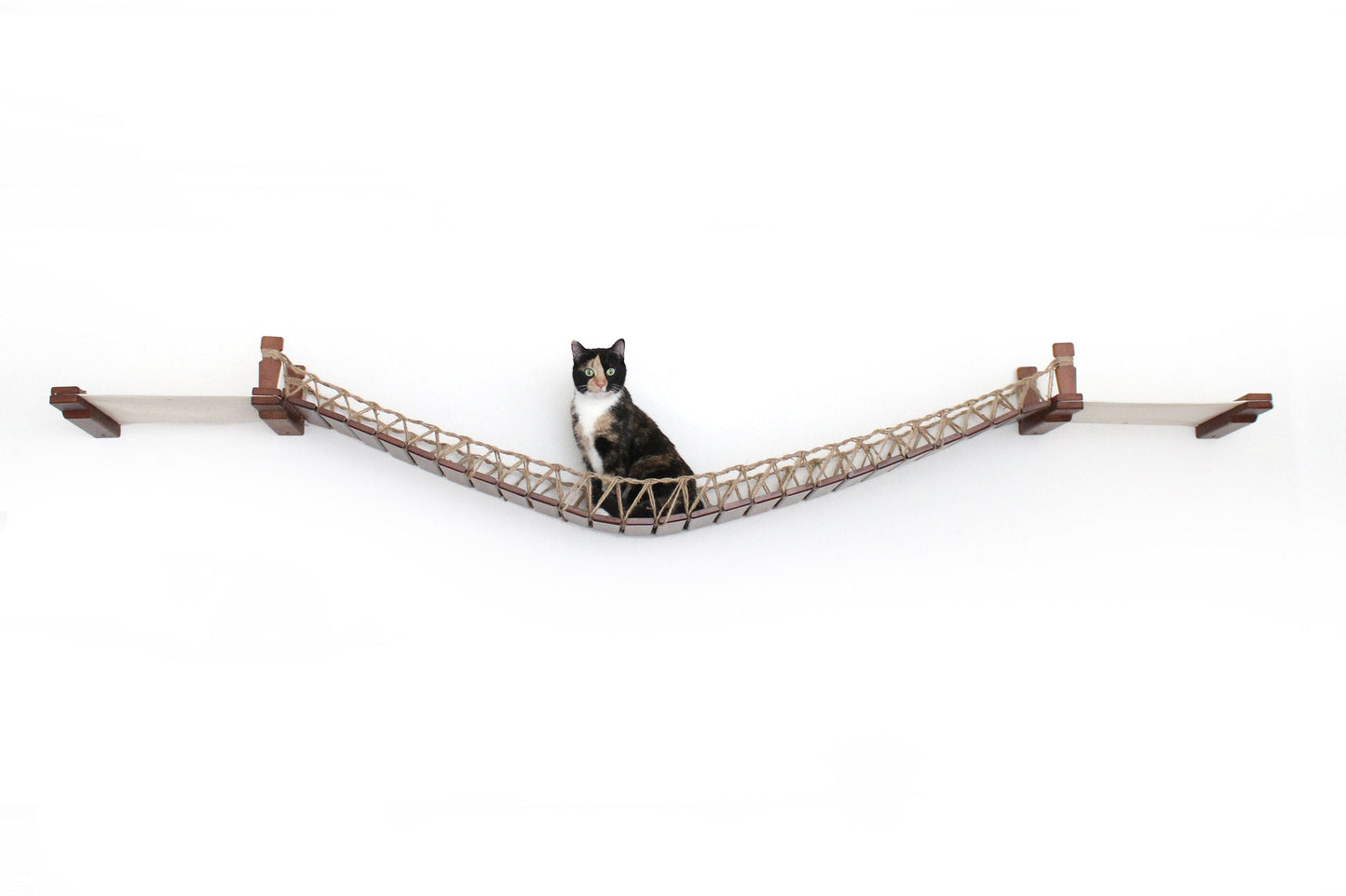 Double Cat Hammock Bridge - Suspension System with Climbing Platform
