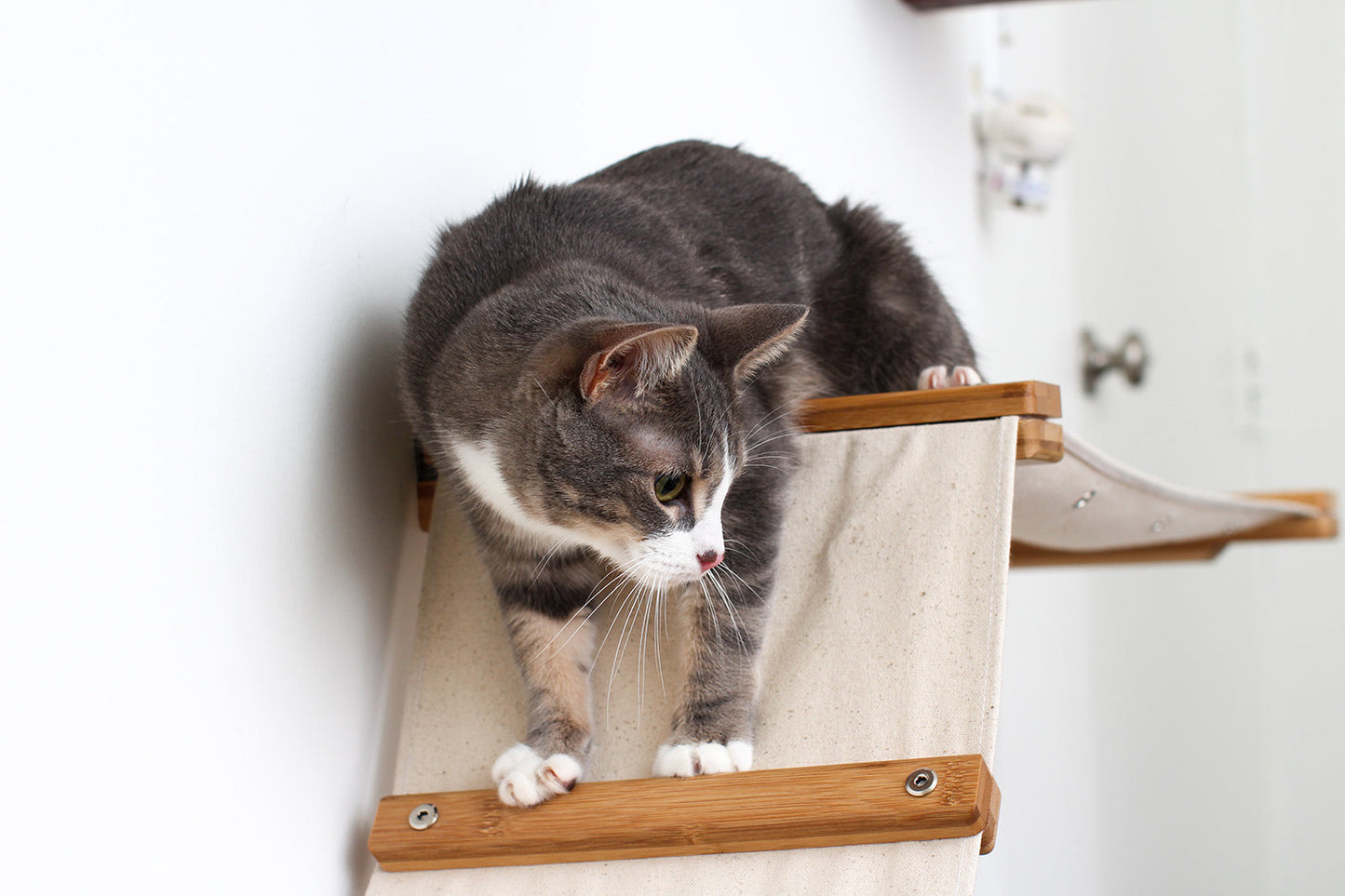 Dual Wall Mounted Cat Hammock