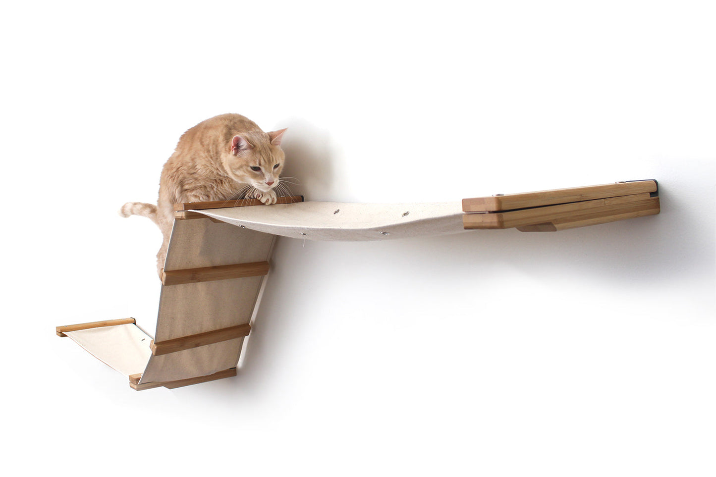 Dual Wall Mounted Cat Hammock