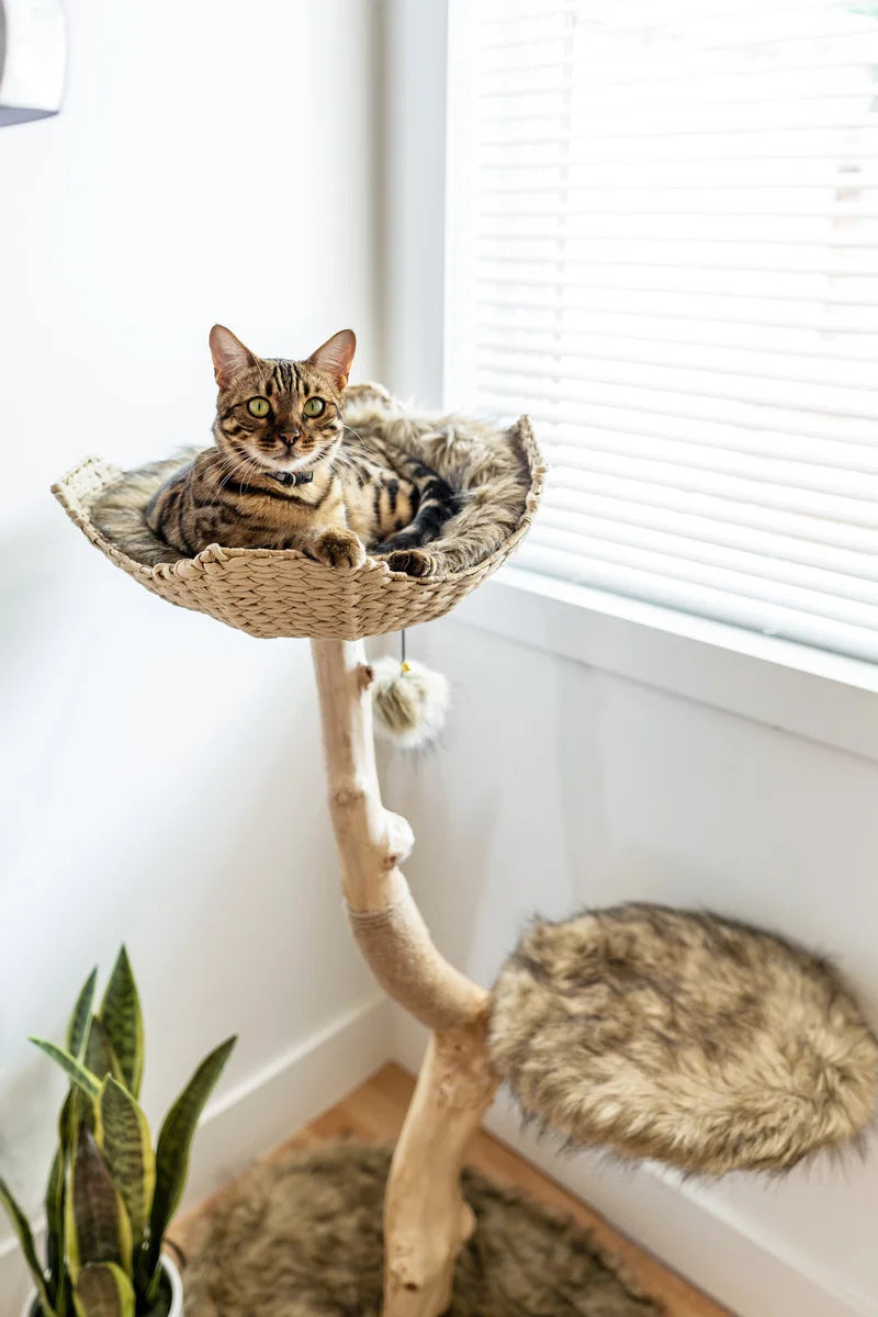 Lina 46'' H Cat Tree