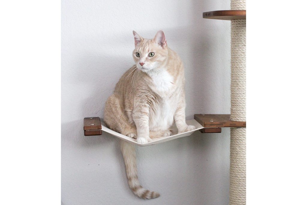Cat Jungle Gym - Compact Activity System for Active Cats