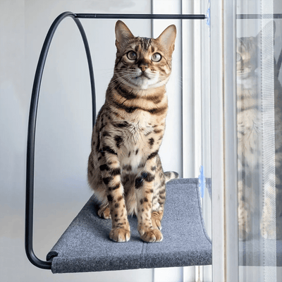 Cat Window Hammock with Suction Cups - 30lb Capacity Elevated Perch for Glass Windows