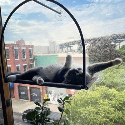 Cat Window Hammock with Suction Cups - 30lb Capacity Elevated Perch for Glass Windows