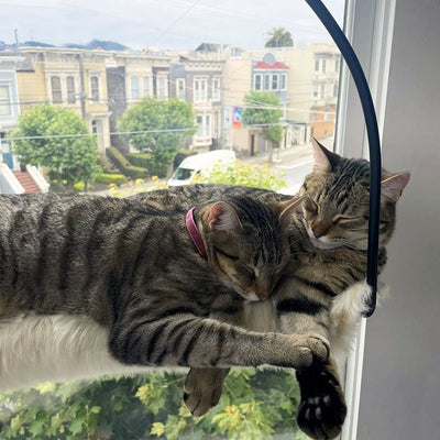 Cat Window Hammock with Suction Cups - 30lb Capacity Elevated Perch for Glass Windows