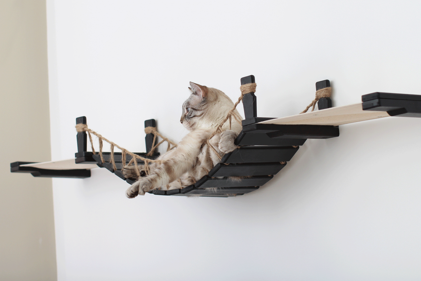 Double Cat Hammock Bridge - Suspension System with Climbing Platform