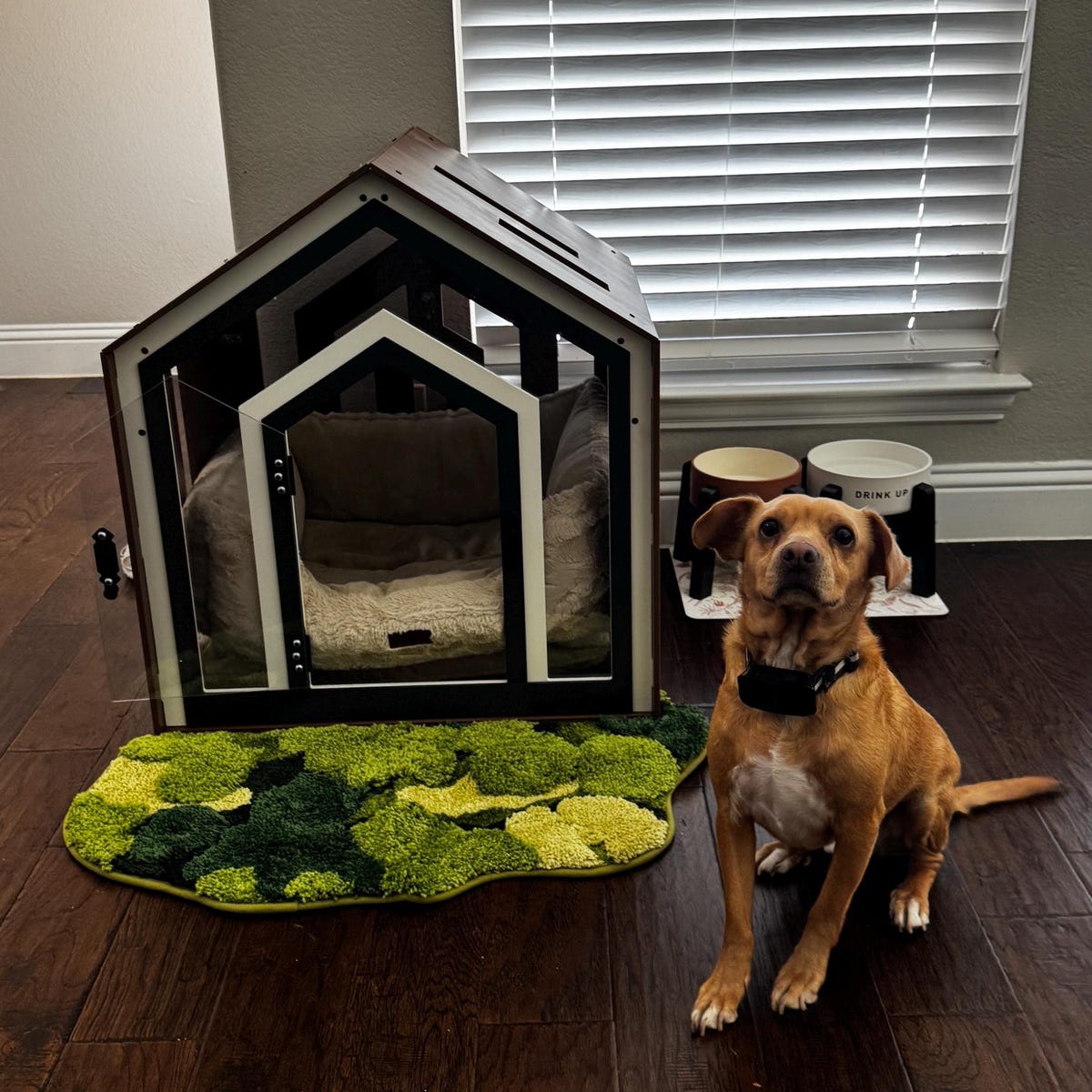 Modern Indoor Pet House & Furniture for Dogs and Cats - Premium Walnut Wood