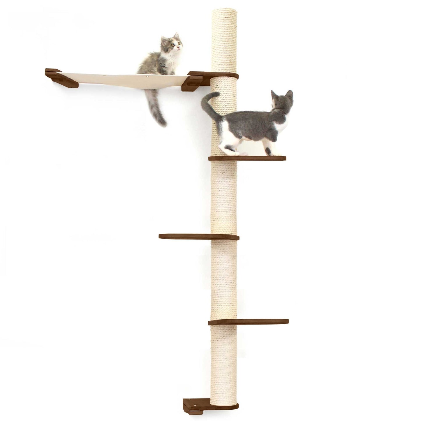 Tall cat perch with natural bamboo vertical scratching pole and summit hammock, minimalist cat tree wall design.