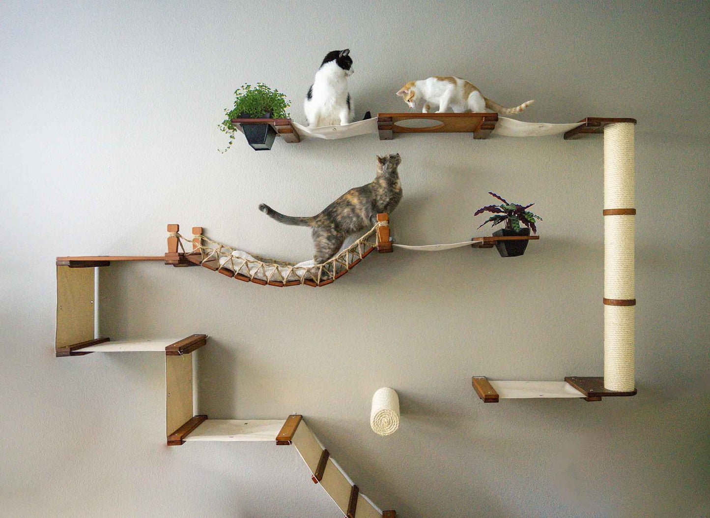 Ultimate Cat Playground - Complete Wall-Mounted Adventure System
