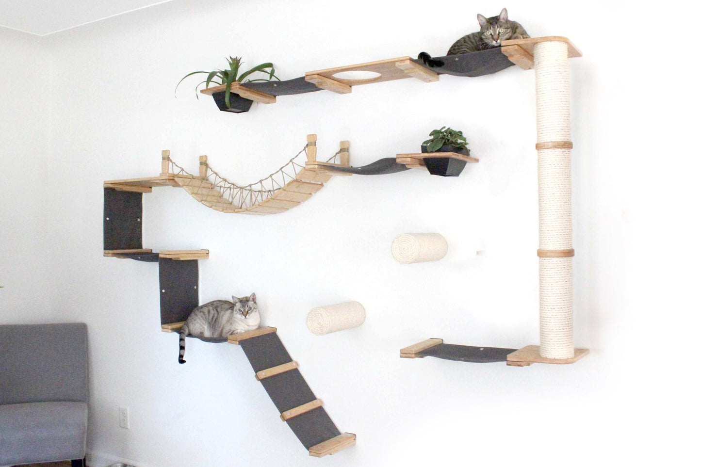 Ultimate Cat Playground - Complete Wall-Mounted Adventure System