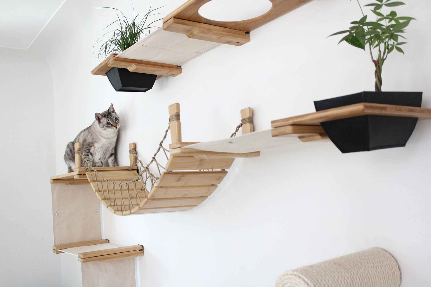 Ultimate Cat Playground - Complete Wall-Mounted Adventure System