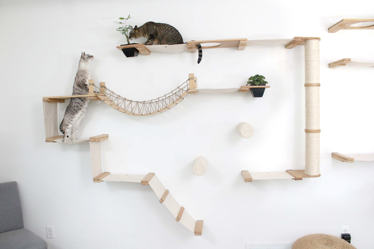 Ultimate Cat Playground - Complete Wall-Mounted Adventure System