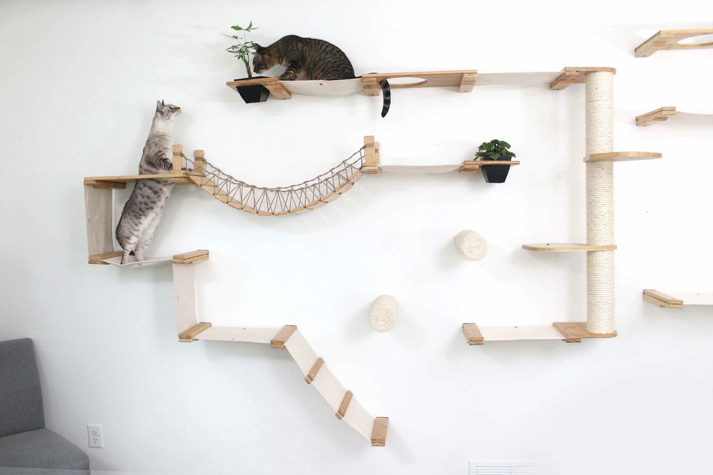 Ultimate Cat Playground - Complete Wall-Mounted Adventure System