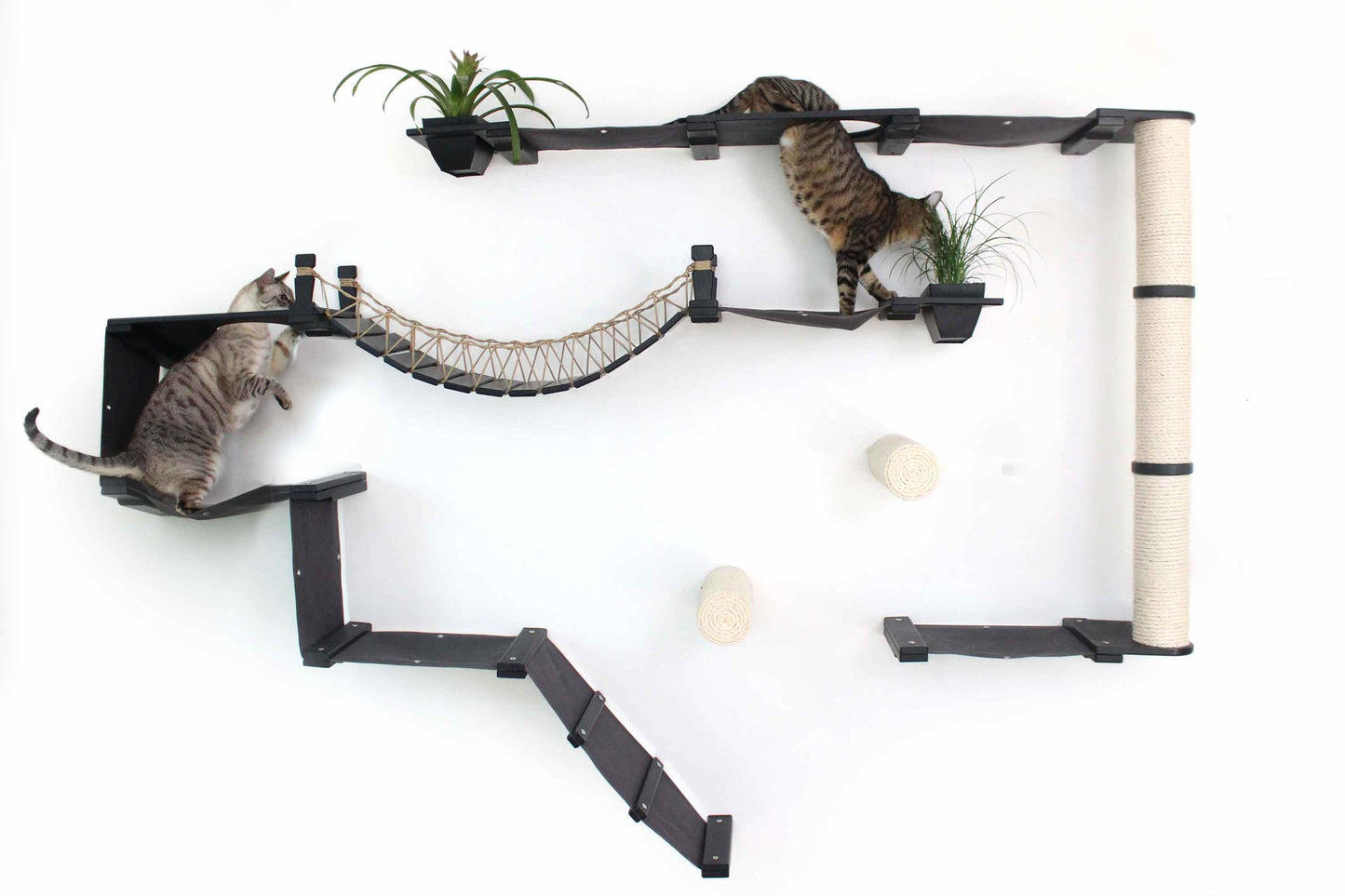 Ultimate Cat Playground - Complete Wall-Mounted Adventure System