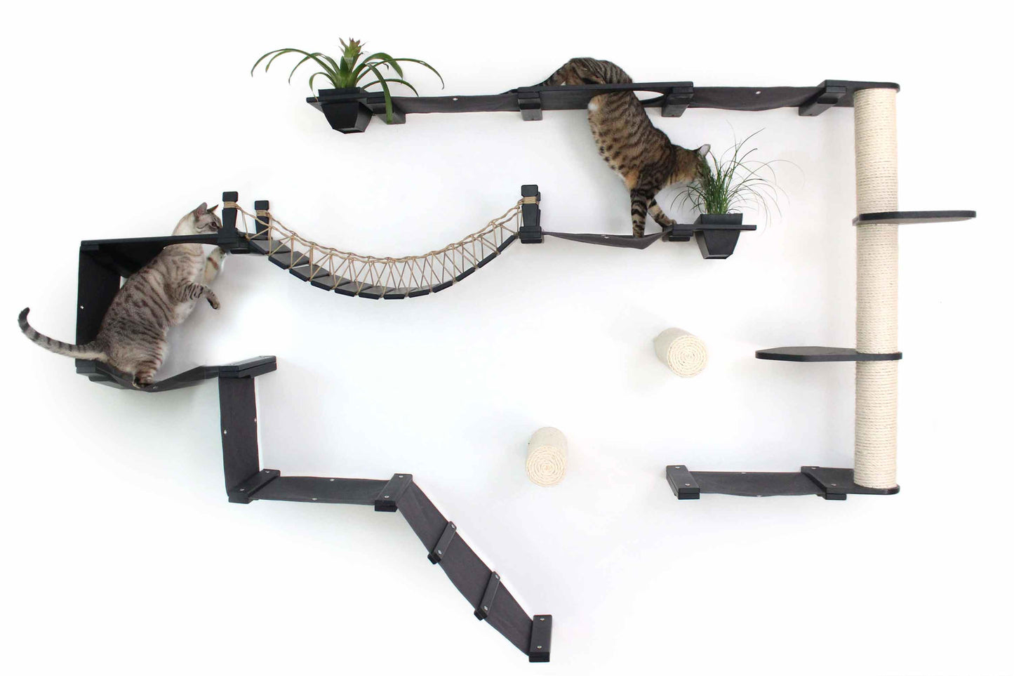 Ultimate Cat Playground - Complete Wall-Mounted Adventure System