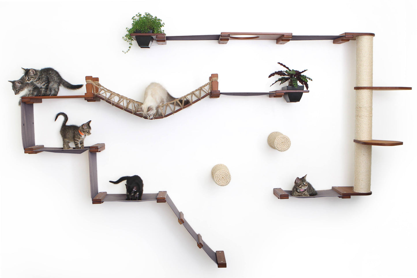 Ultimate Cat Playground - Complete Wall-Mounted Adventure System