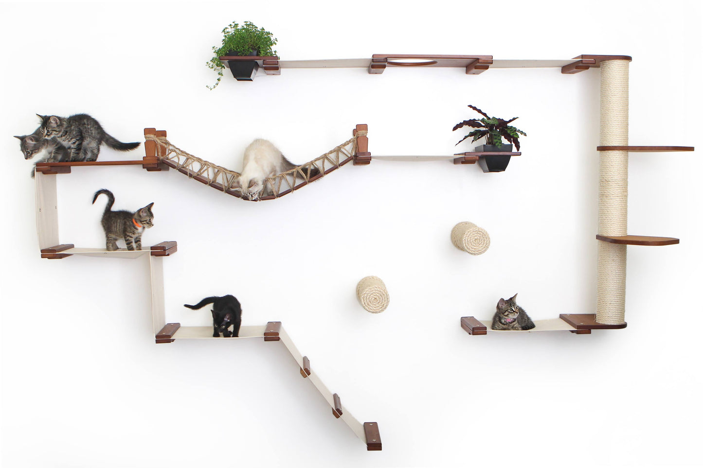 Ultimate Cat Playground - Complete Wall-Mounted Adventure System