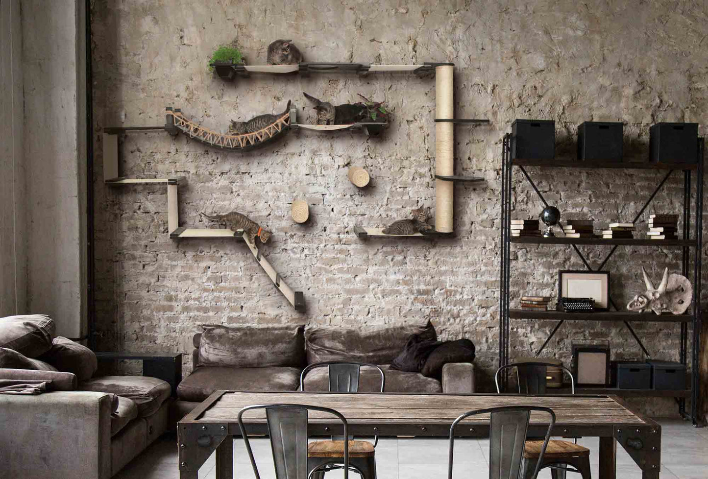 Ultimate Cat Playground - Complete Wall-Mounted Adventure System