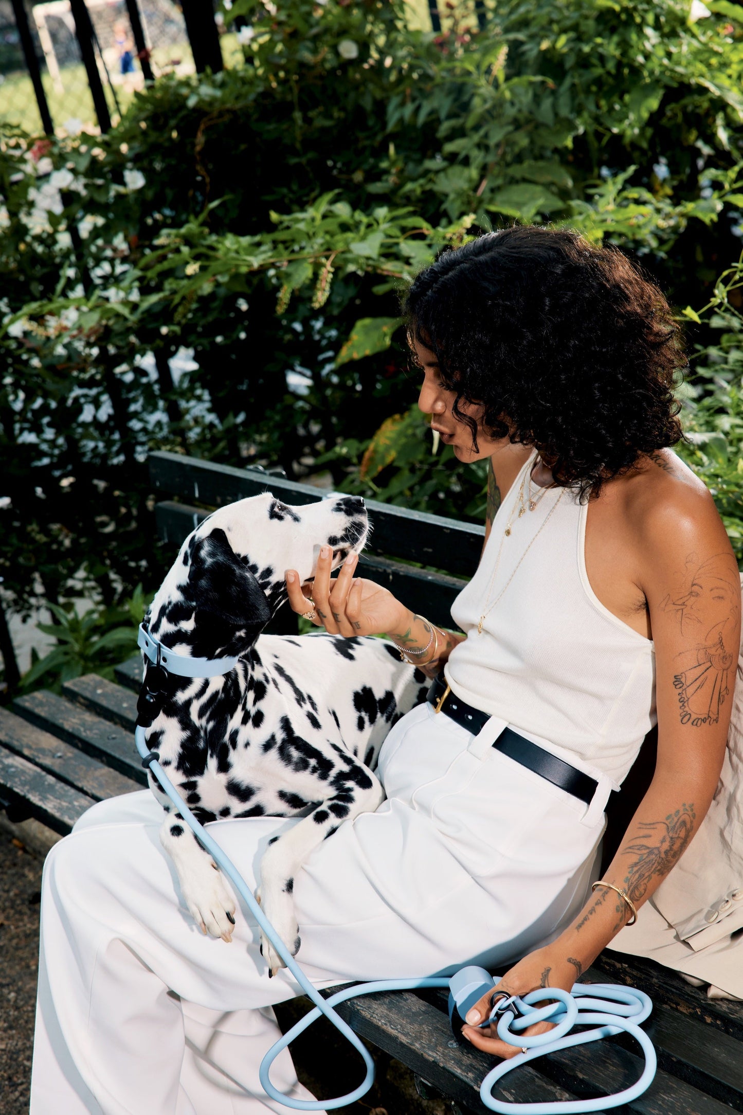 Dog Walking Leash – Hands-Free with Classic Clip (Multi-Color)