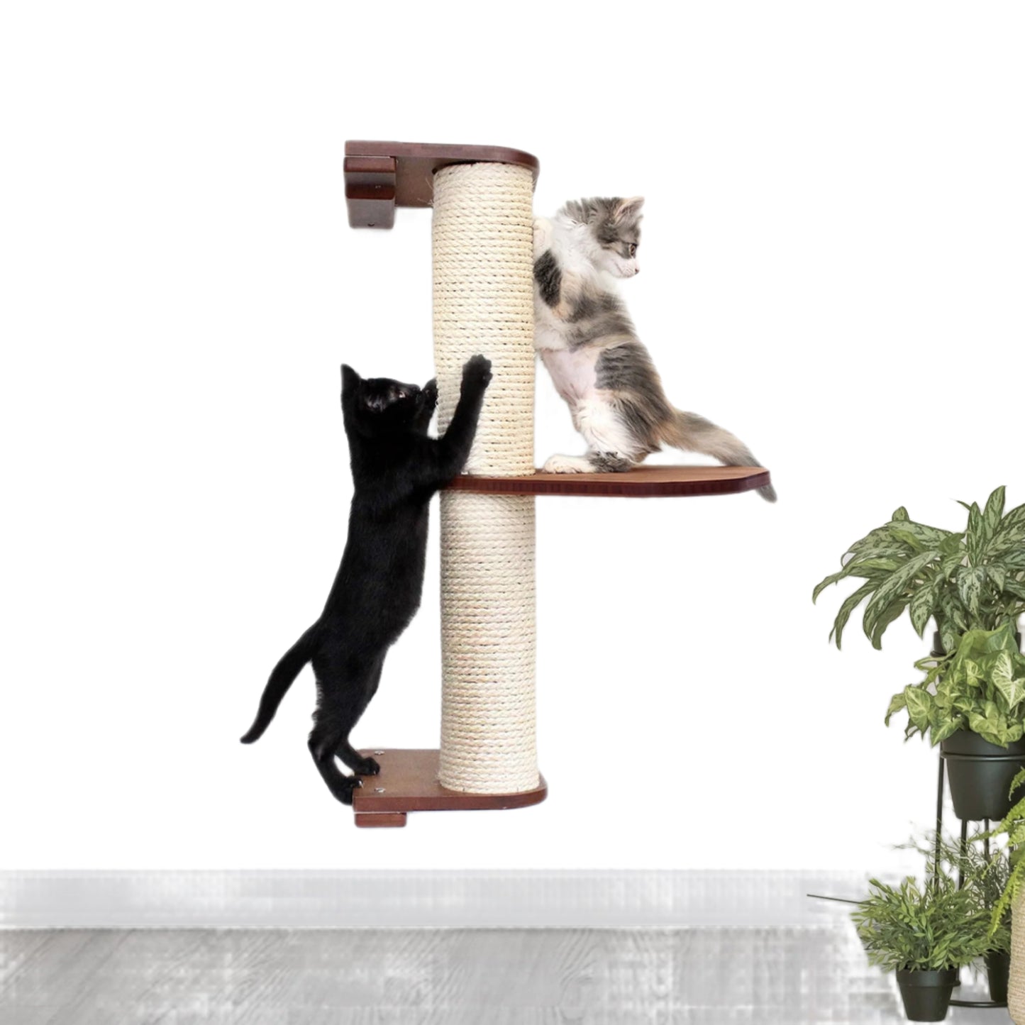 Two kittens playing on a cat tree in a room with plants.