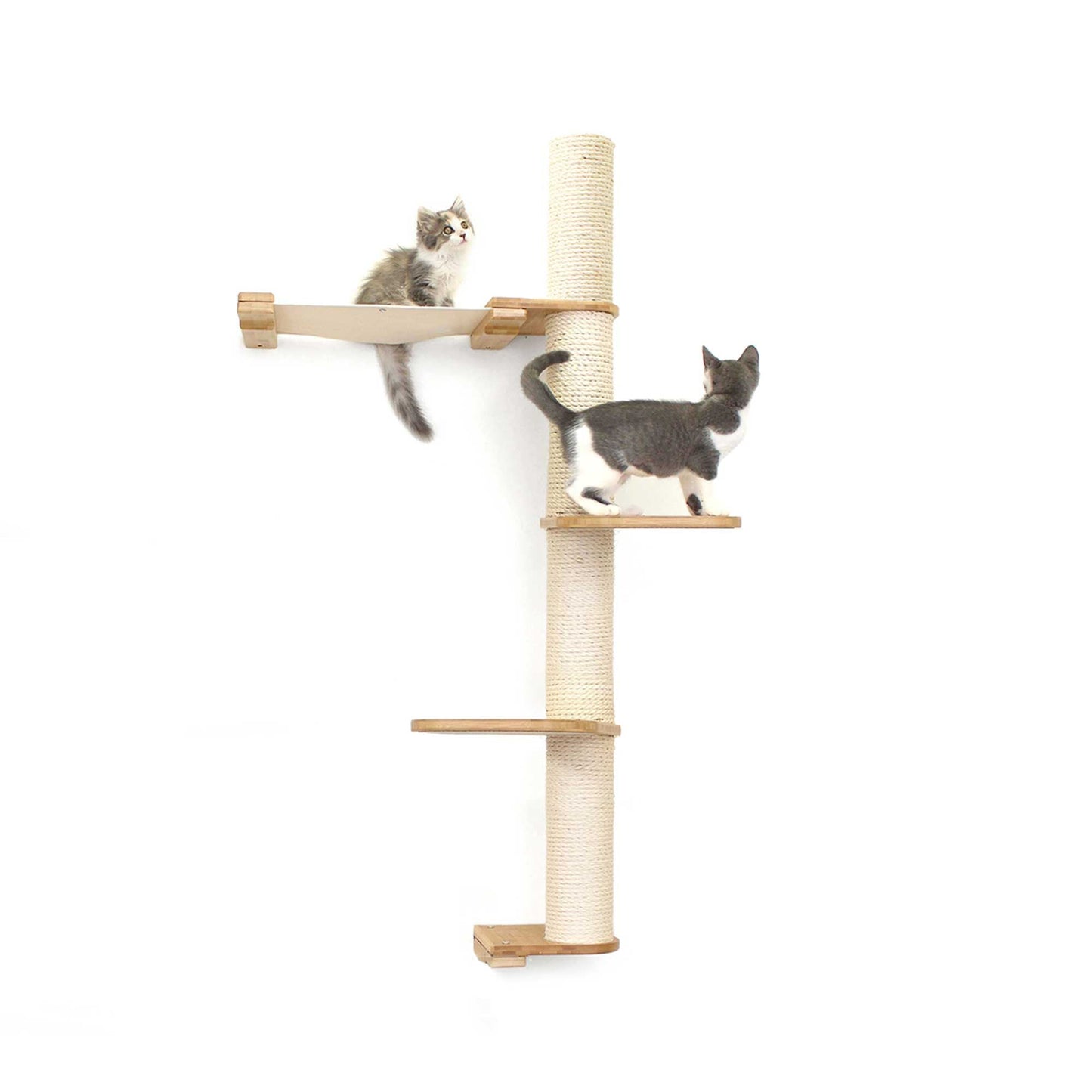Tall cat perch with natural bamboo vertical scratching pole and summit hammock for cat treadmill or cat tree wall use.