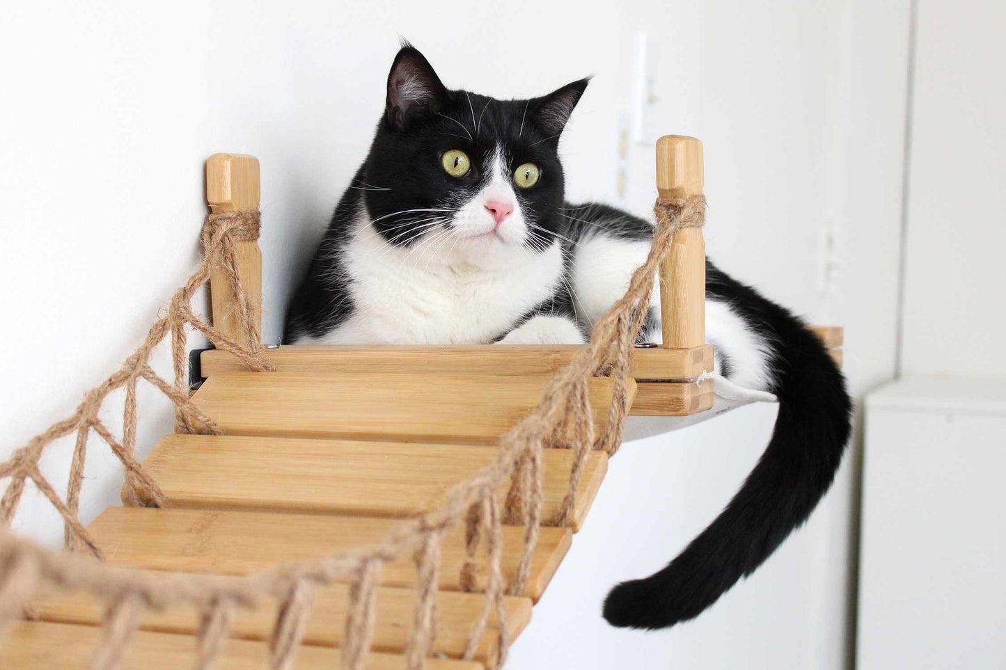 Double Cat Hammock Bridge - Suspension System with Climbing Platform
