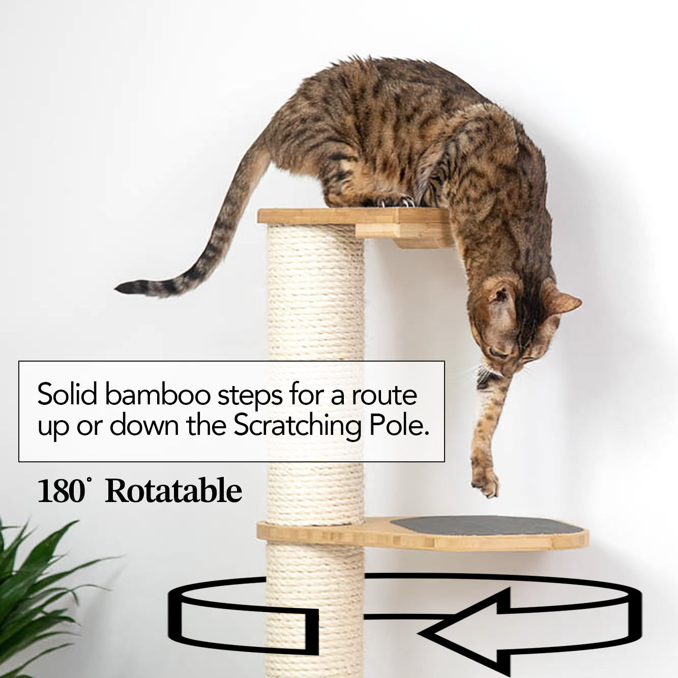 Wall Mounted Cat Scratching Pole with Sisal - Vertical Climbing Tower for Small Spaces