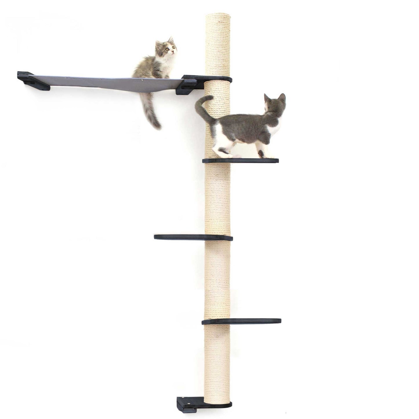 Tall natural bamboo vertical scratching pole with black canvas summit hammock and stepping platforms for cat tree wall and.