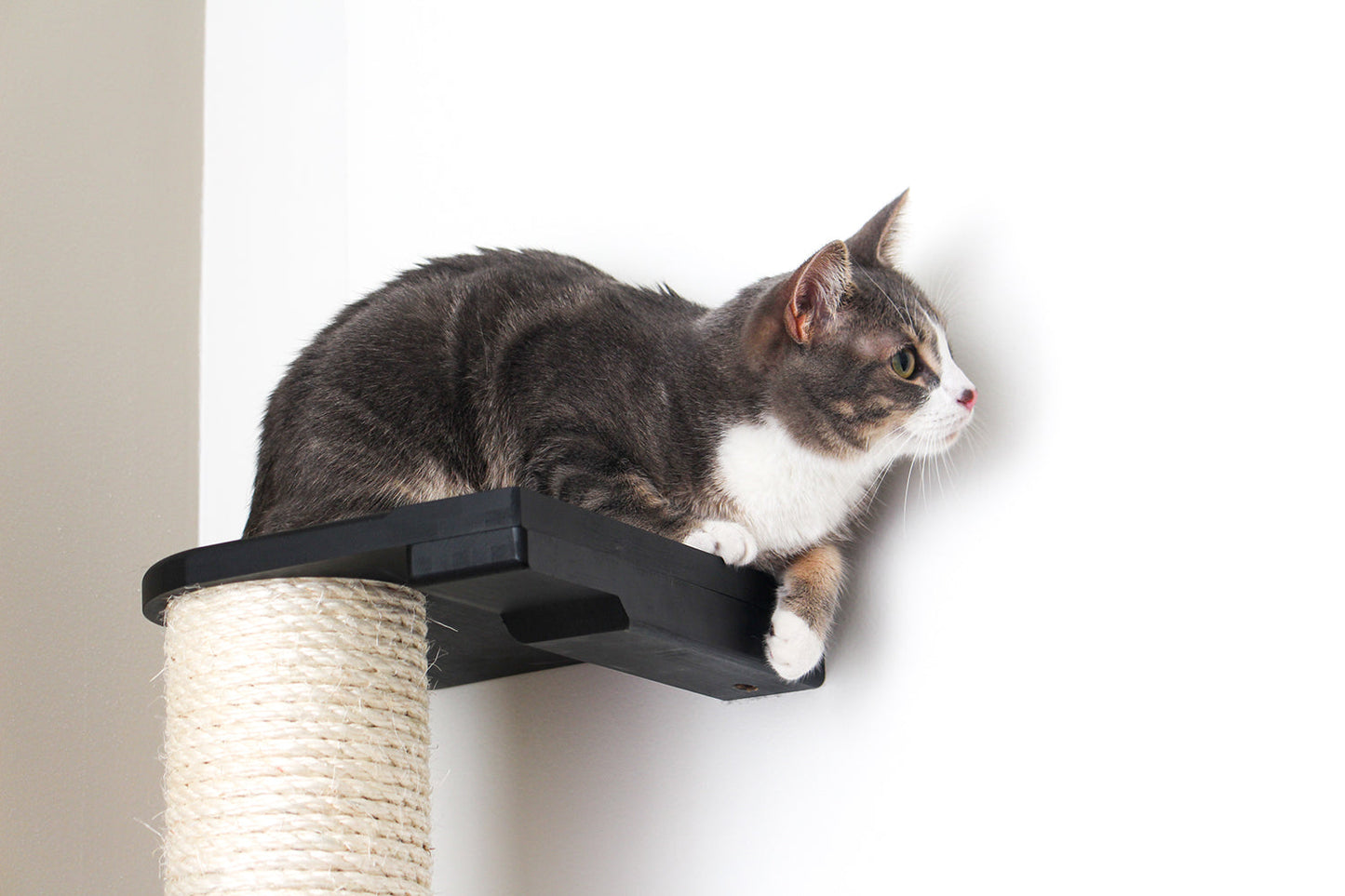Wall Mounted Cat Scratching Pole with Sisal - Vertical Climbing Tower for Small Spaces