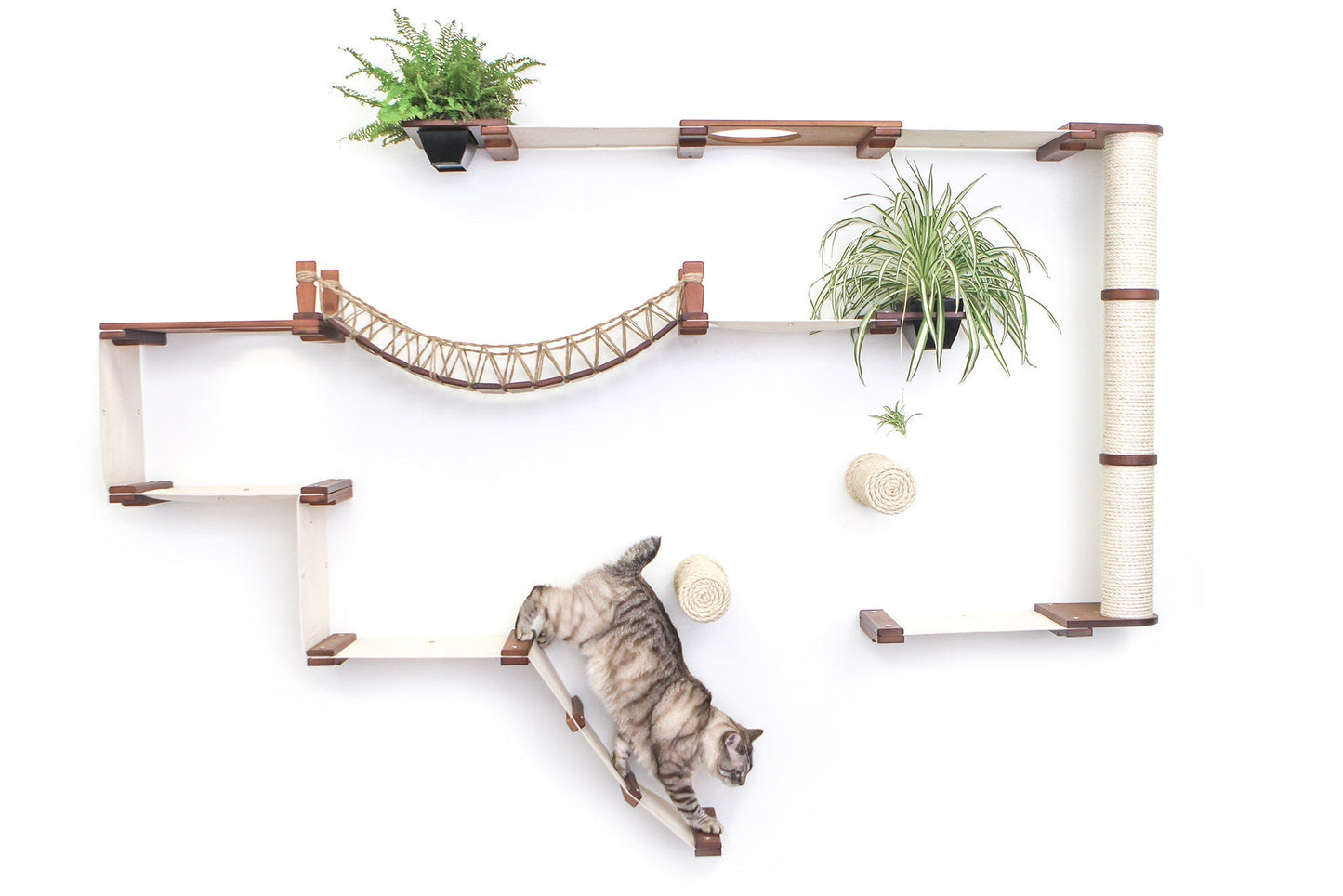 Ultimate Cat Playground - Complete Wall-Mounted Adventure System