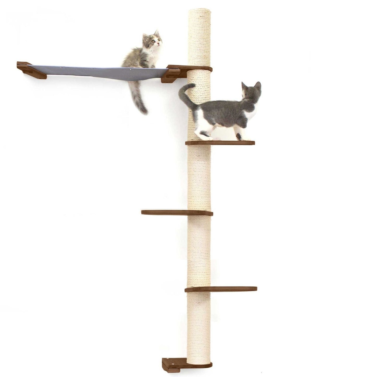 Tall cat perch with vertical scratching pole wrapped in natural sisal and a charcoal gray canvas summit hammock on an.
