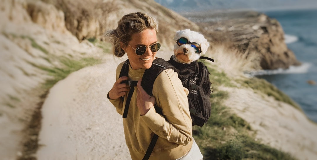 Pet Travel Accessories & Carriers