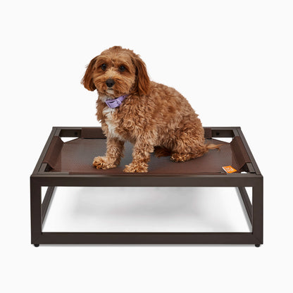 Elevated Chew-Resistant Dog Bed – Indoor/Outdoor Mesh Platform (Brown)