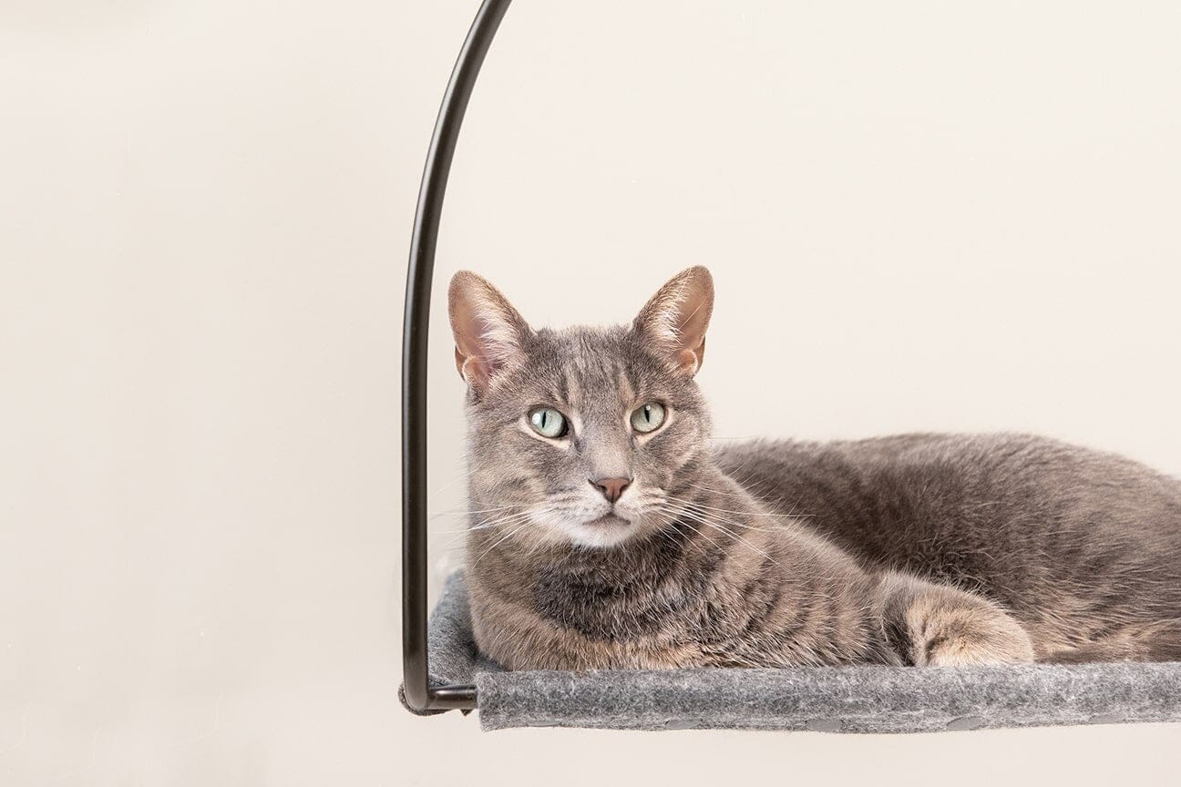 Cat Window Hammock with Suction Cups - 30lb Capacity Elevated Perch for Glass Windows